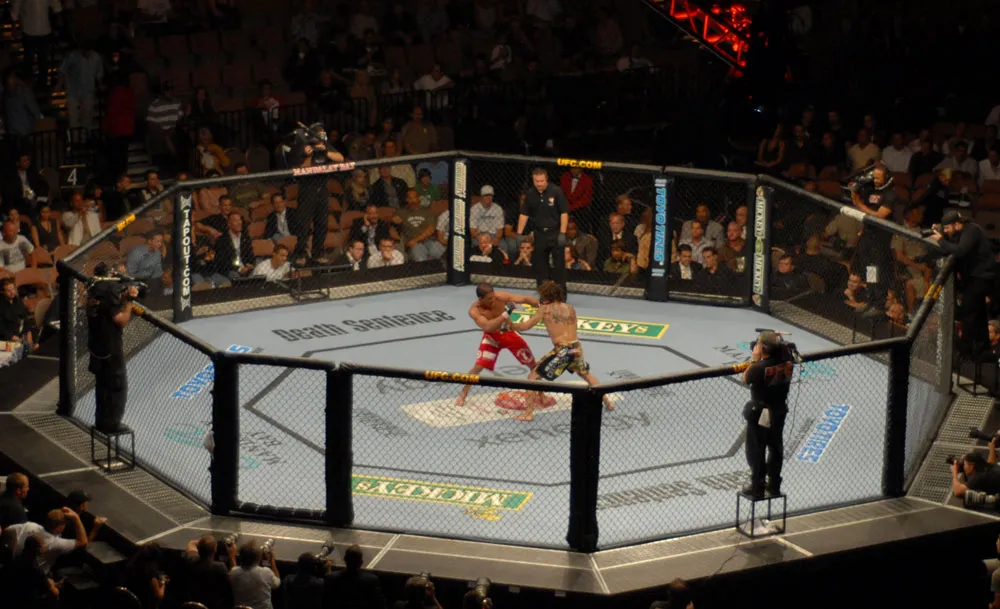 How MMA Fights End