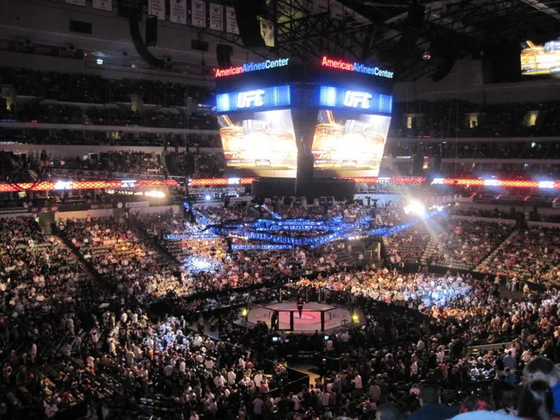 MMA glossary for new fans
