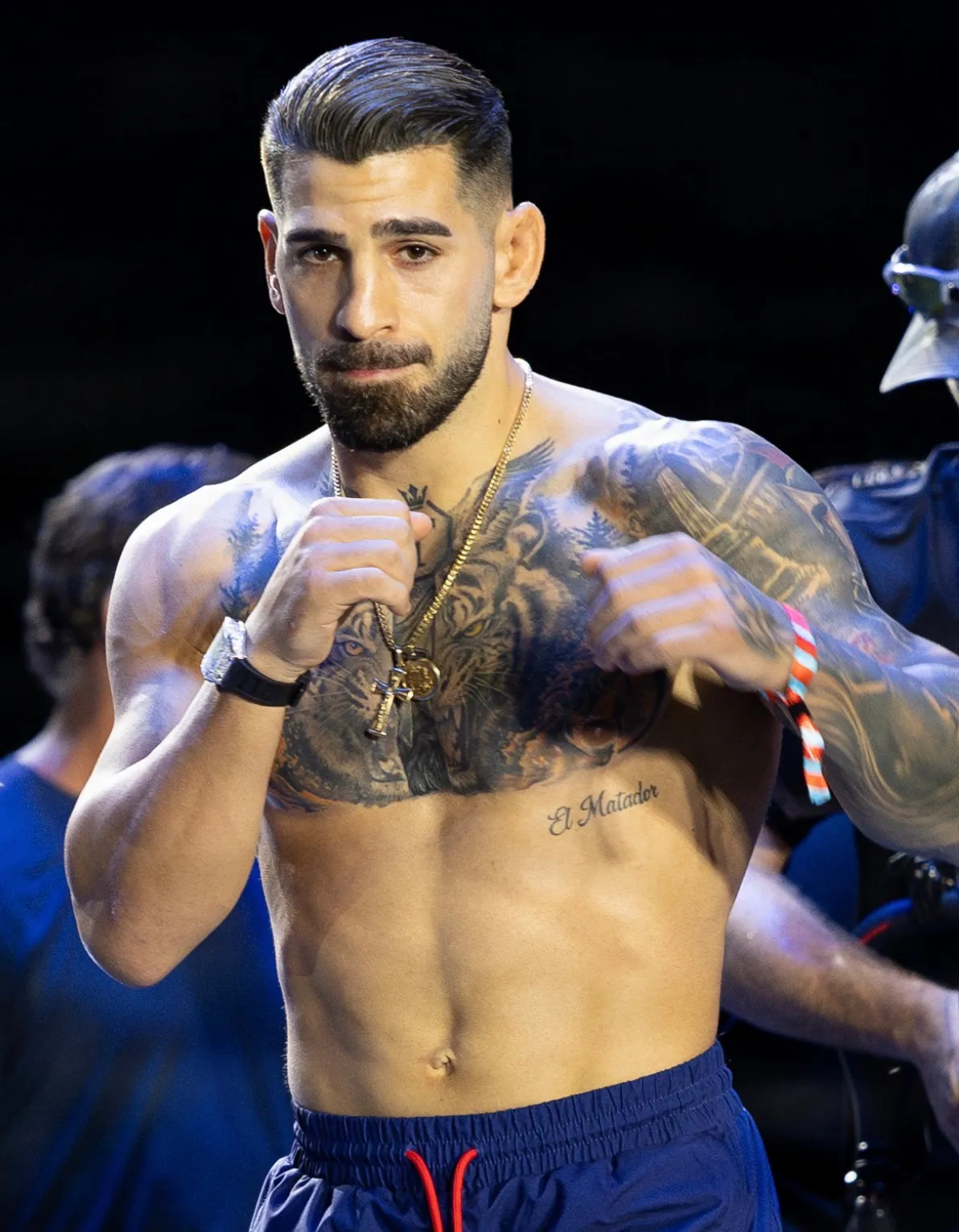 UFC Title Fights Explained