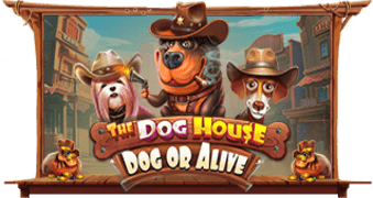 The Dog House Dog Or Alive