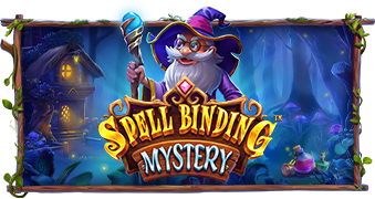Spellbinding Mysteryâ„¢