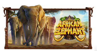 African Elephantâ„¢